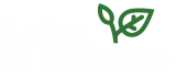El MAnzano-07