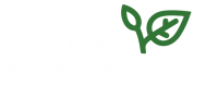El MAnzano-07